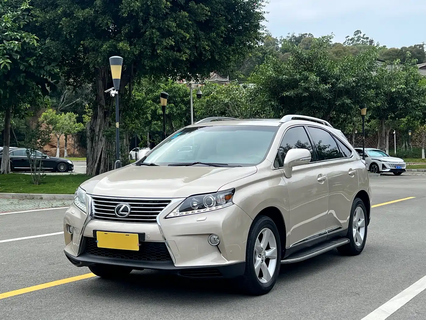Lexus RX Classic 2013 2013 270 Elegance