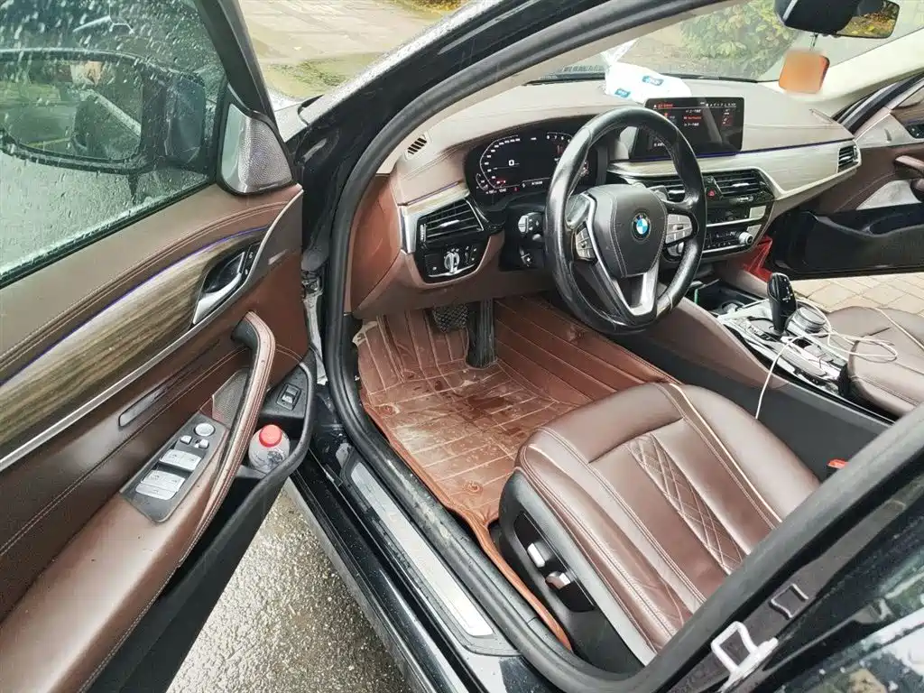 BMW 5 Series 2020 530Li Leading Luxury Package фото 14