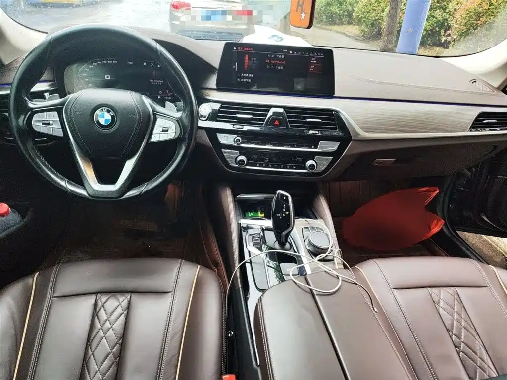 BMW 5 Series 2020 530Li Leading Luxury Package фото 13