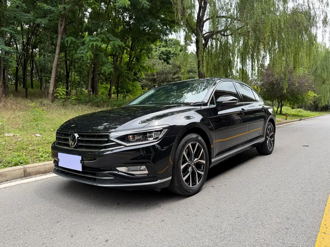 Volkswagen Magotan 2020 330TSI DSG Leading