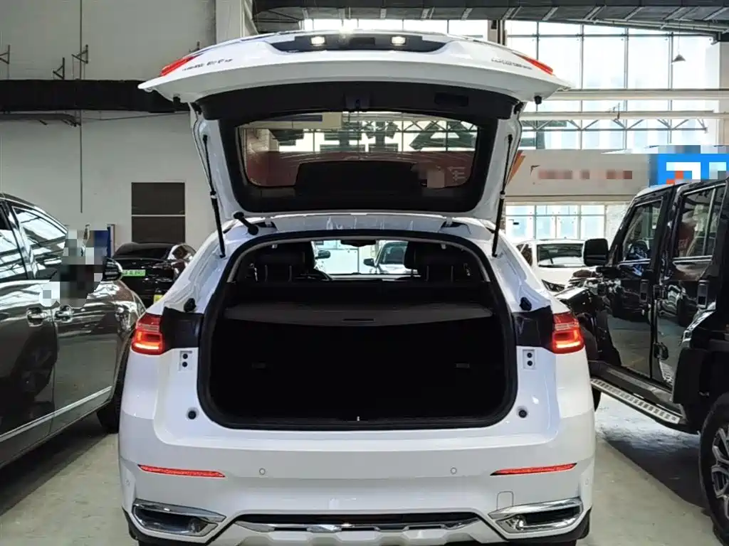 Haval F7x 2019 2.0T FWD Ultimate Tech Edition фото 19