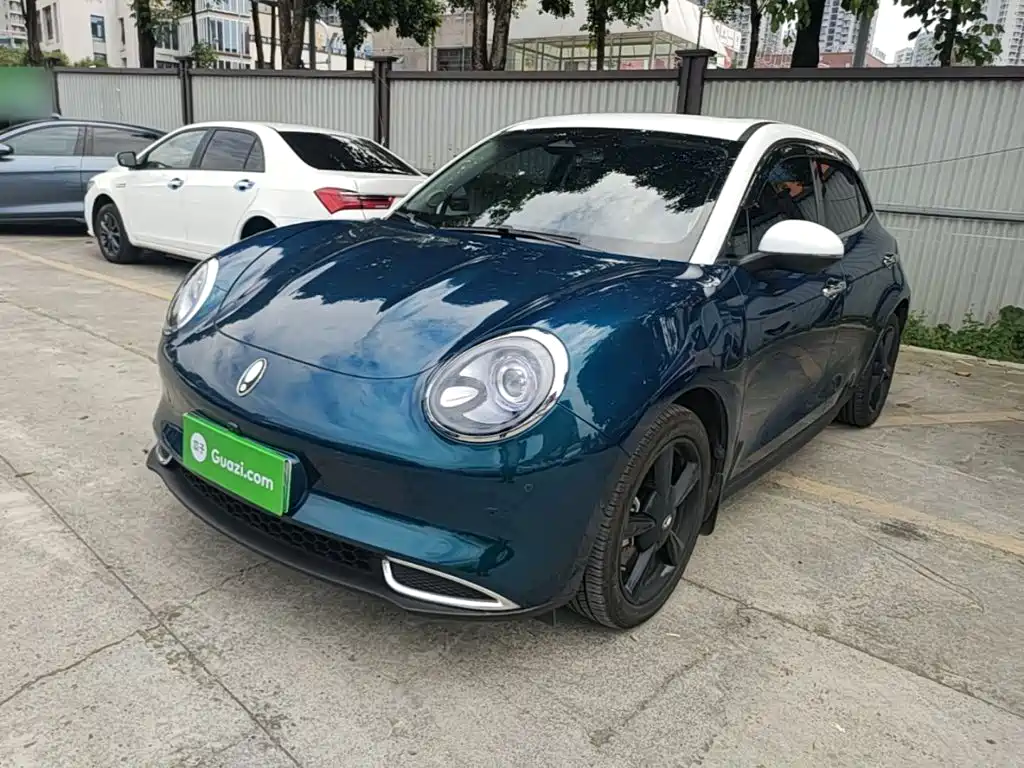 Ora Good Cat 2024 501km Premium
