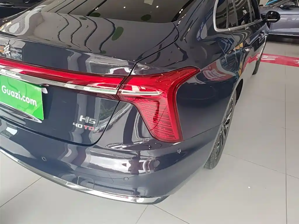 Hongqi H5 2024 2.0T Automatic Smart Connect Flag Leader Edition фото 8