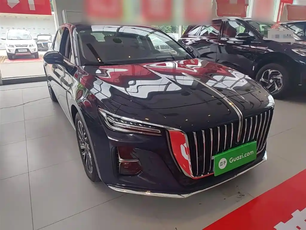 Hongqi H5 2024 2.0T Automatic Smart Connect Flag Leader Edition фото 4