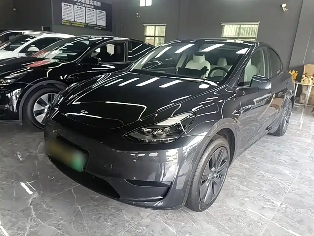 Tesla Model Y 2024 Rear-Wheel Drive Version