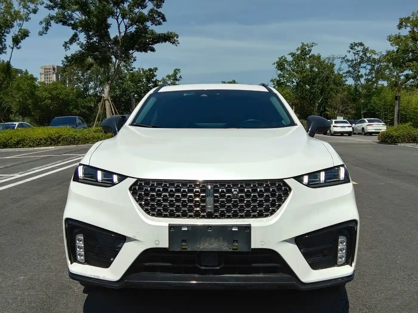 WEY VV7 2020 2020 Model 2.0T Flagship