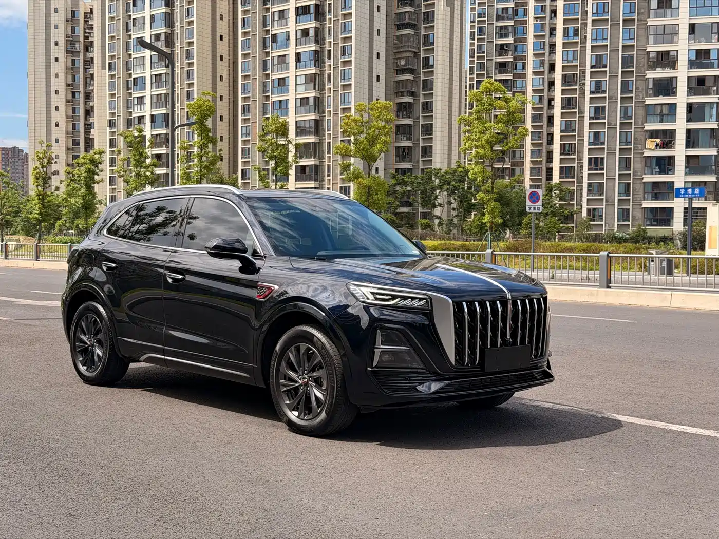 Hongqi HS5 2023 2.0T Flag Enjoy Pro Edition фото 3
