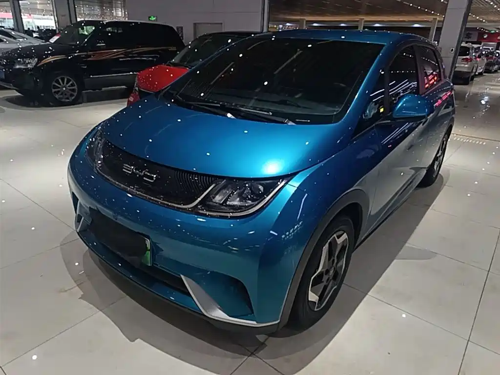 BYD Dolphin 2021 405km Freedom Edition