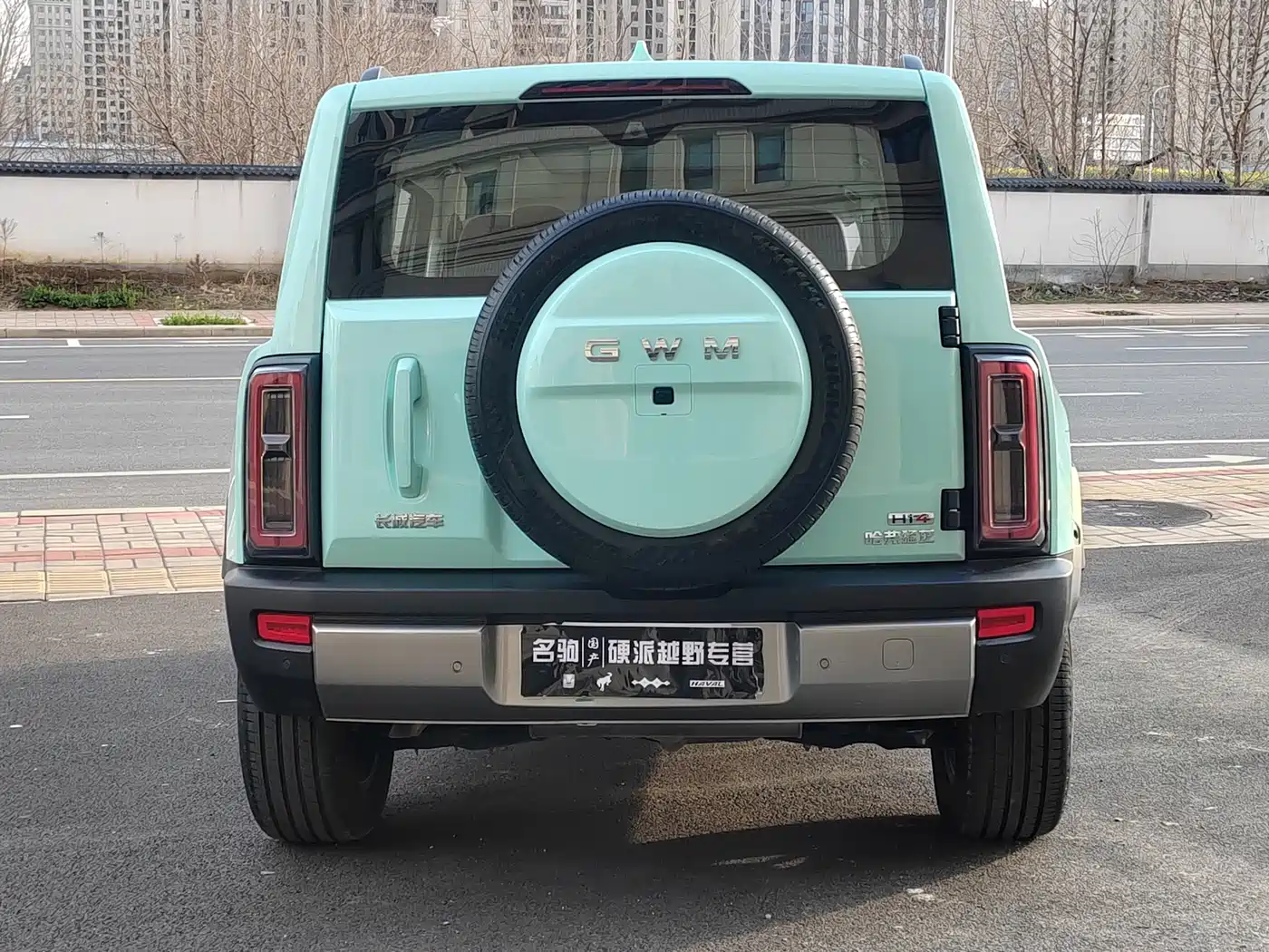 HAVAL RAPTORS NEW ENERGY