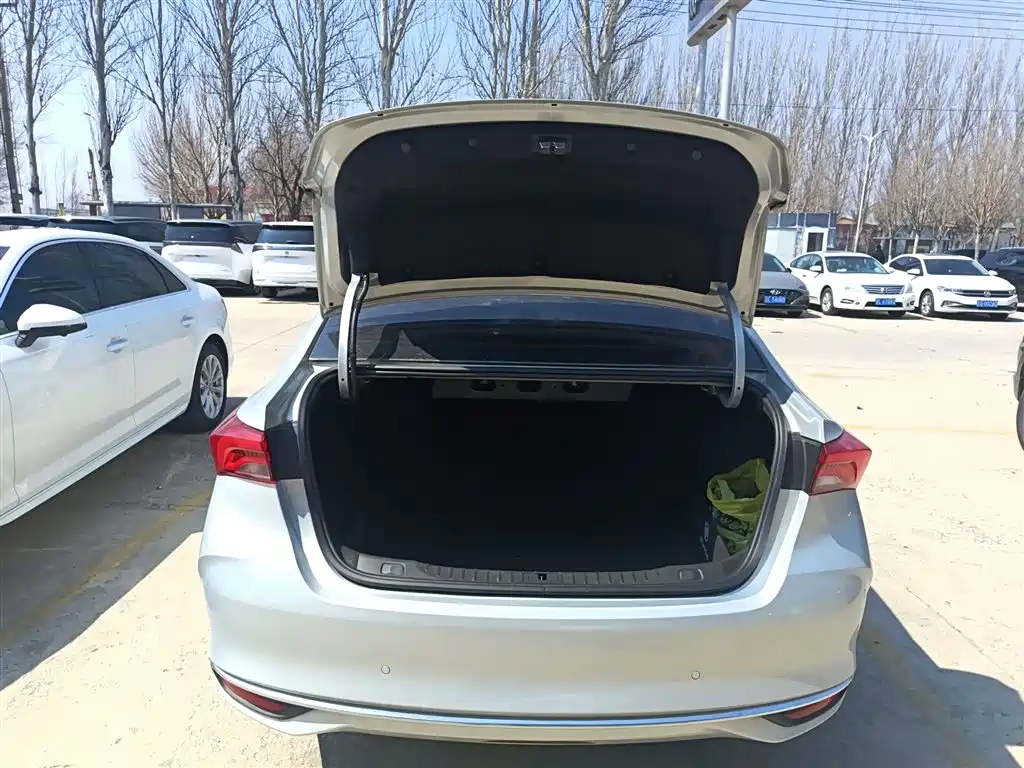 BUICK WEILANG