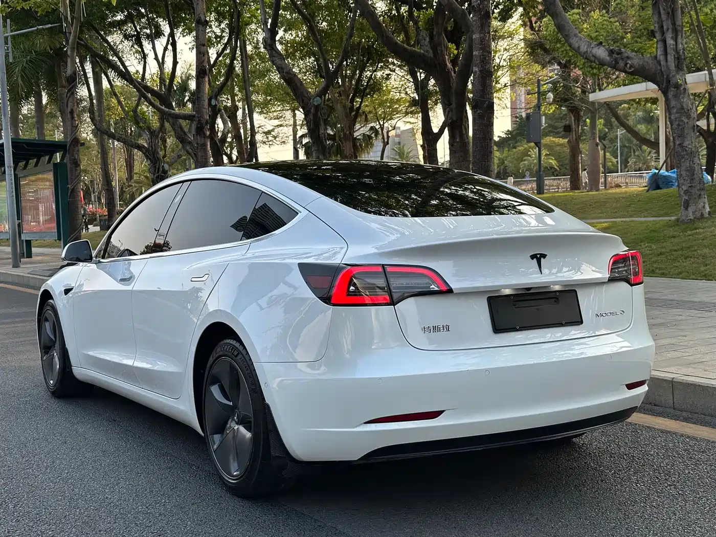 TESLA MODEL 3