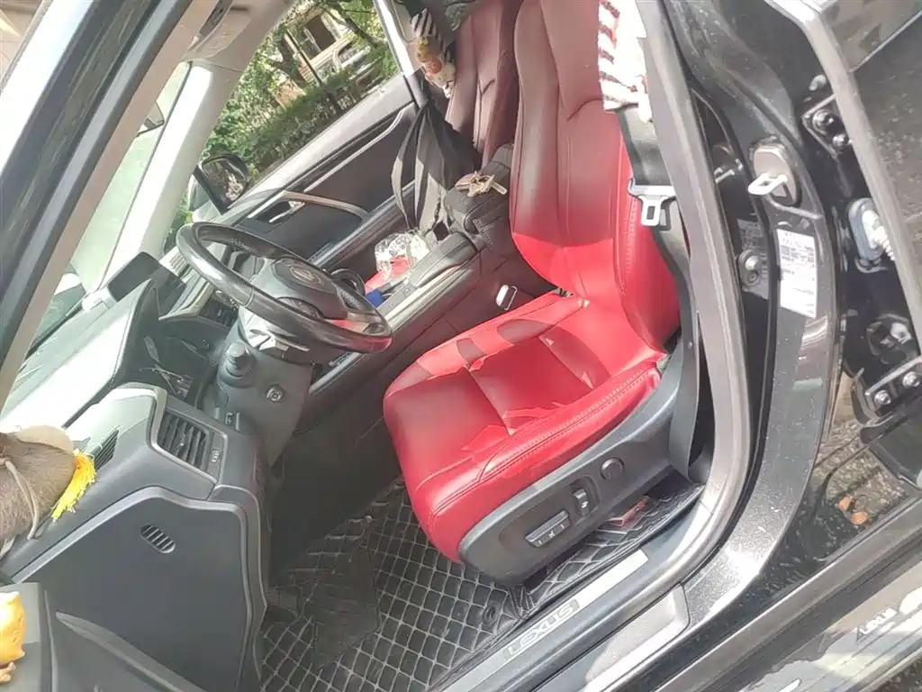 Lexus RX 2020 300 2WD Elite Edition China VI фото 22