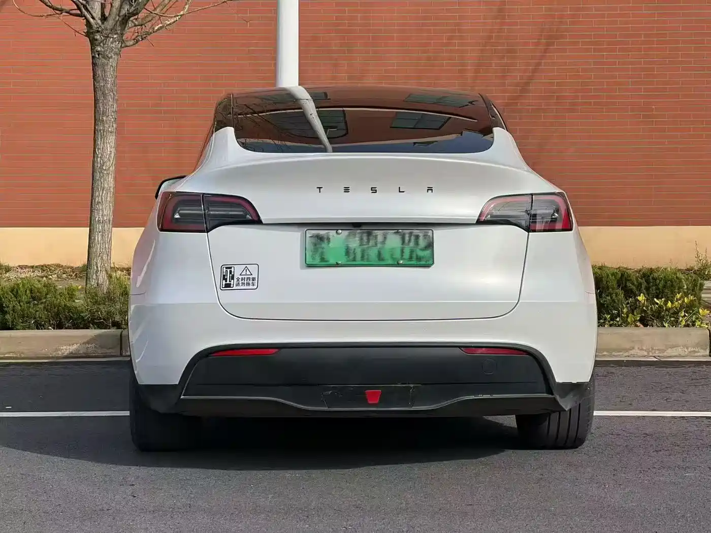 TESLA MODEL Y