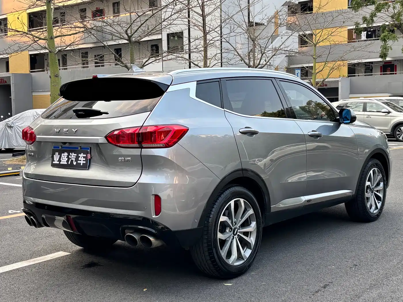 WEY VV6 2019 2018 2.0T 4WD Flagship China V
