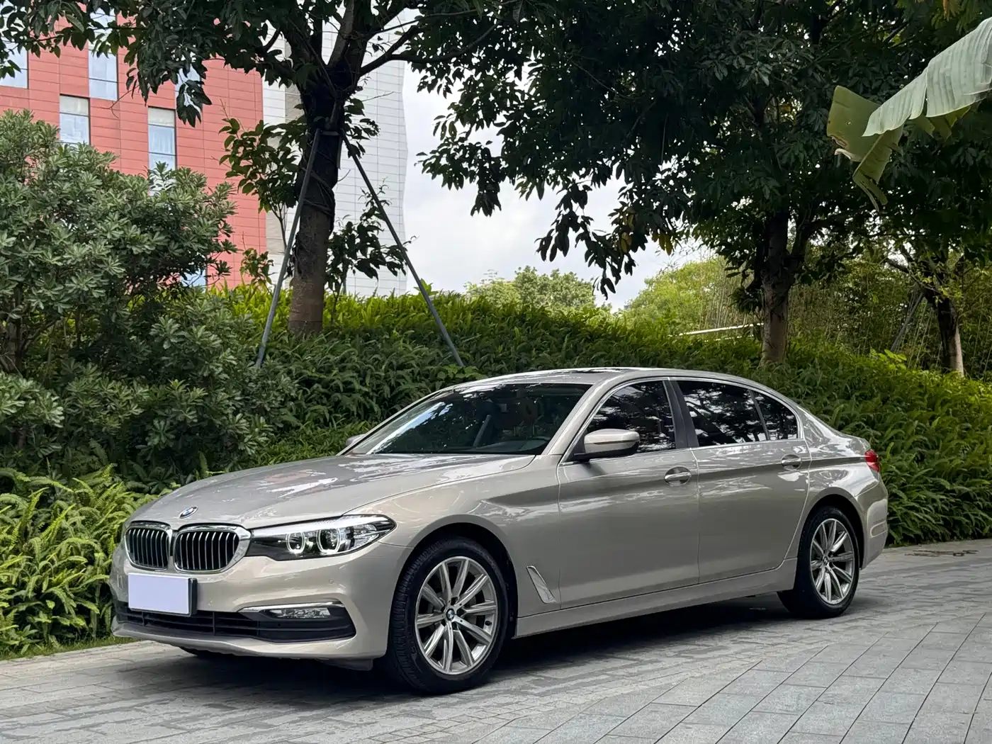 BMW 5 Series 2018 528Li Launch Special Edition