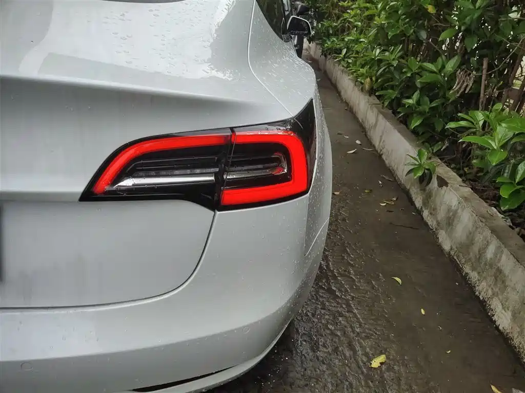 TESLA MODEL 3 (IMPORTED)