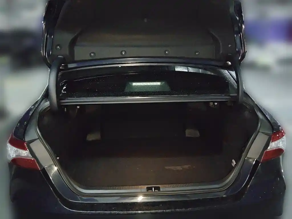 Toyota Camry 2021 2.0G Luxury Edition фото 15
