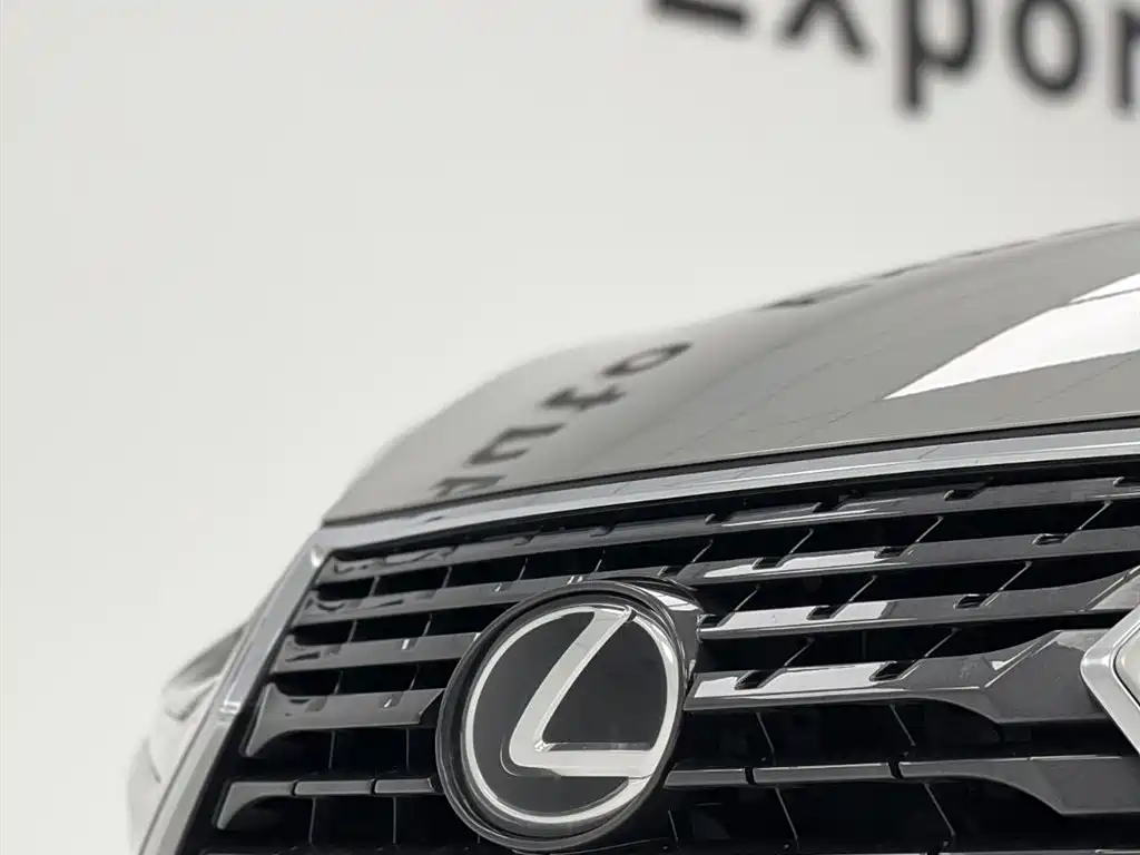 Lexus NX 2020 200 FWD Fengyi Edition China VI фото 25