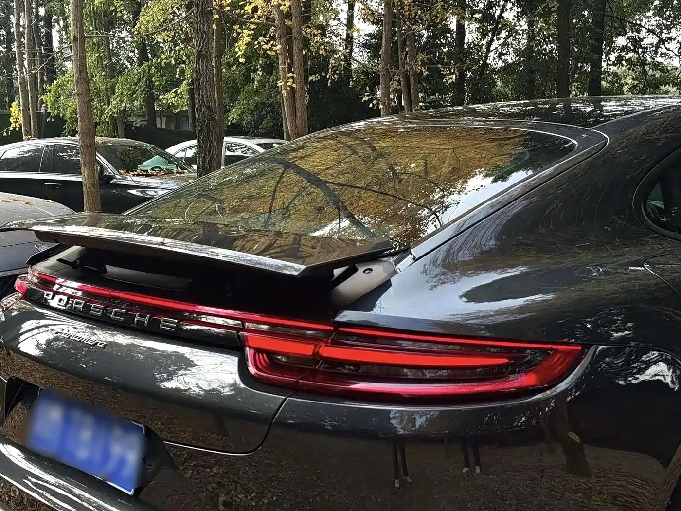 Porsche Panamera 2017 Panamera 3.0T фото 7