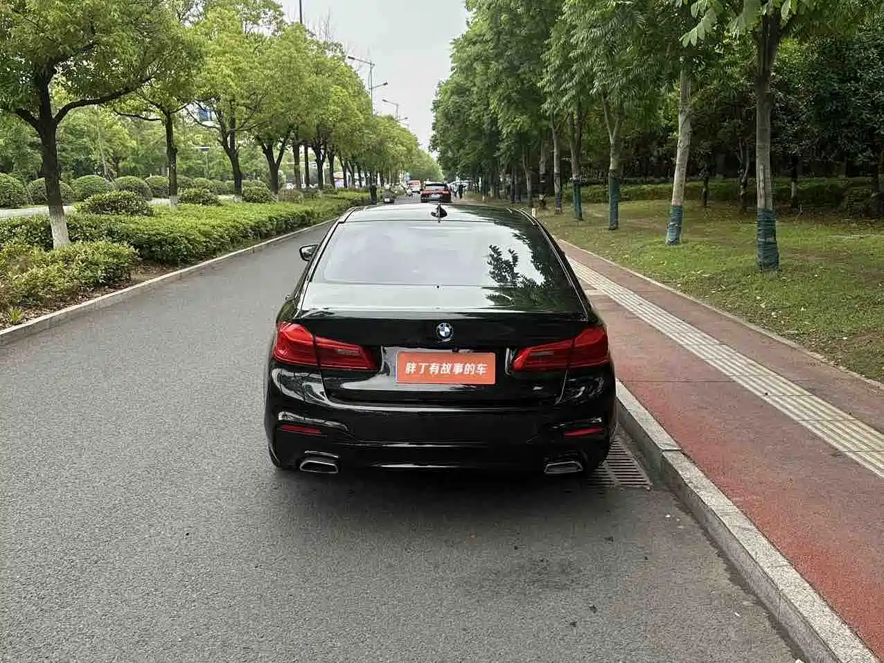 BMW 5 Series 2019 530Li Leading M Sport Package фото 11