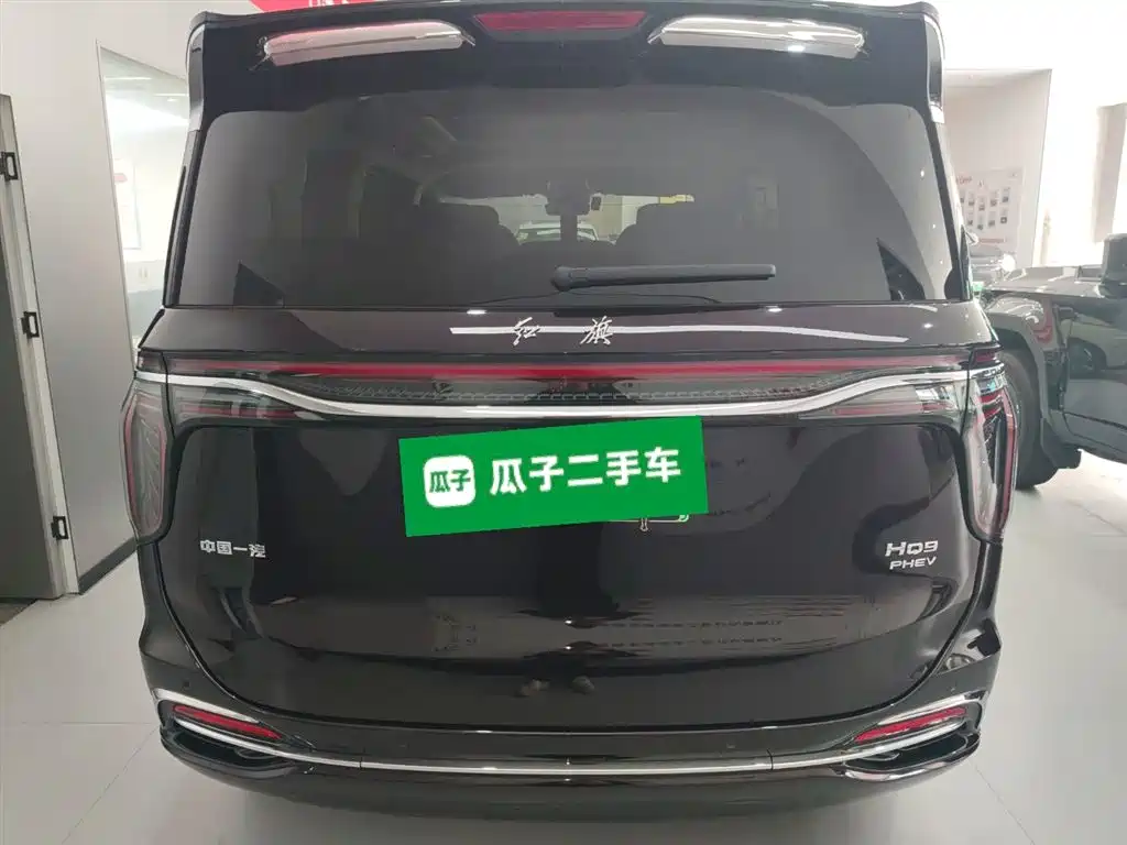 Hongqi HQ9 PHEV 2024 Model 2.0T AWD Luxury Edition фото 4