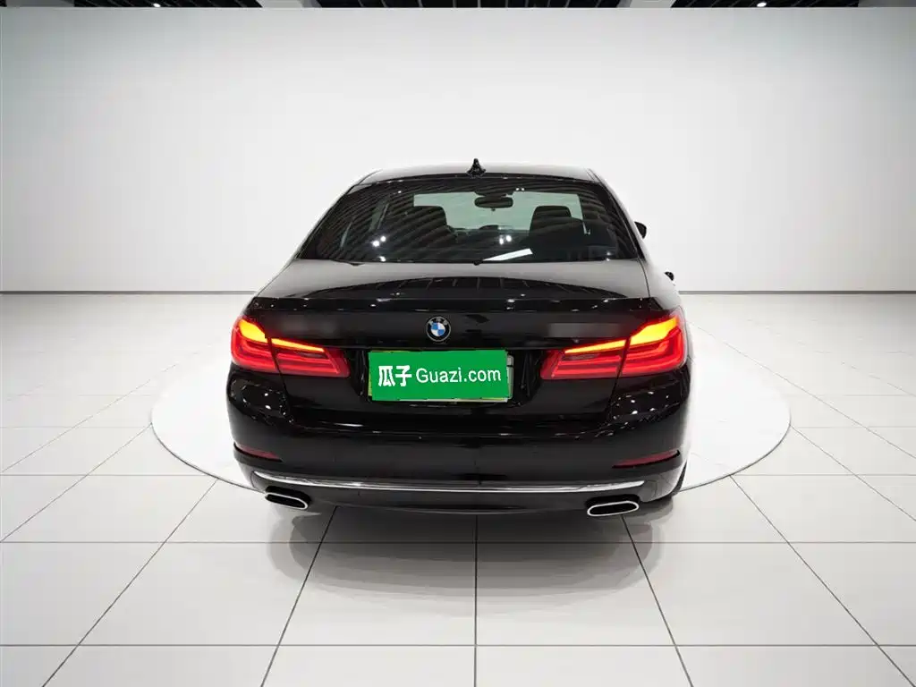 BMW 5 Series New Energy 2019 530Le Luxury Package фото 6