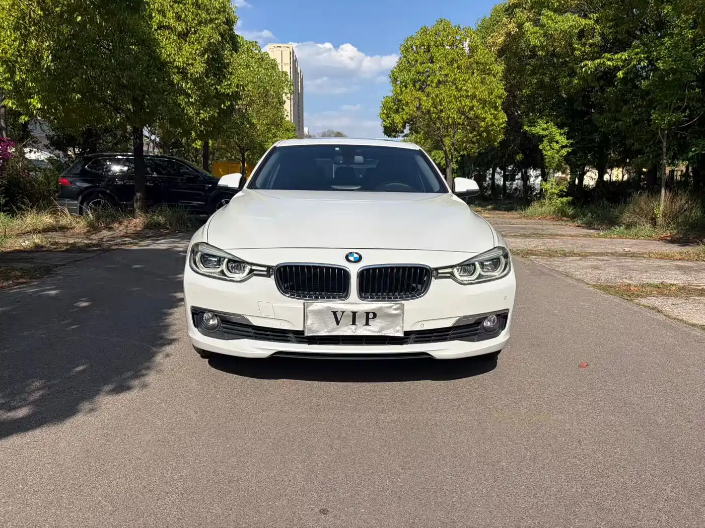 BMW 3 Series 2016 320Li Progressive фото 2