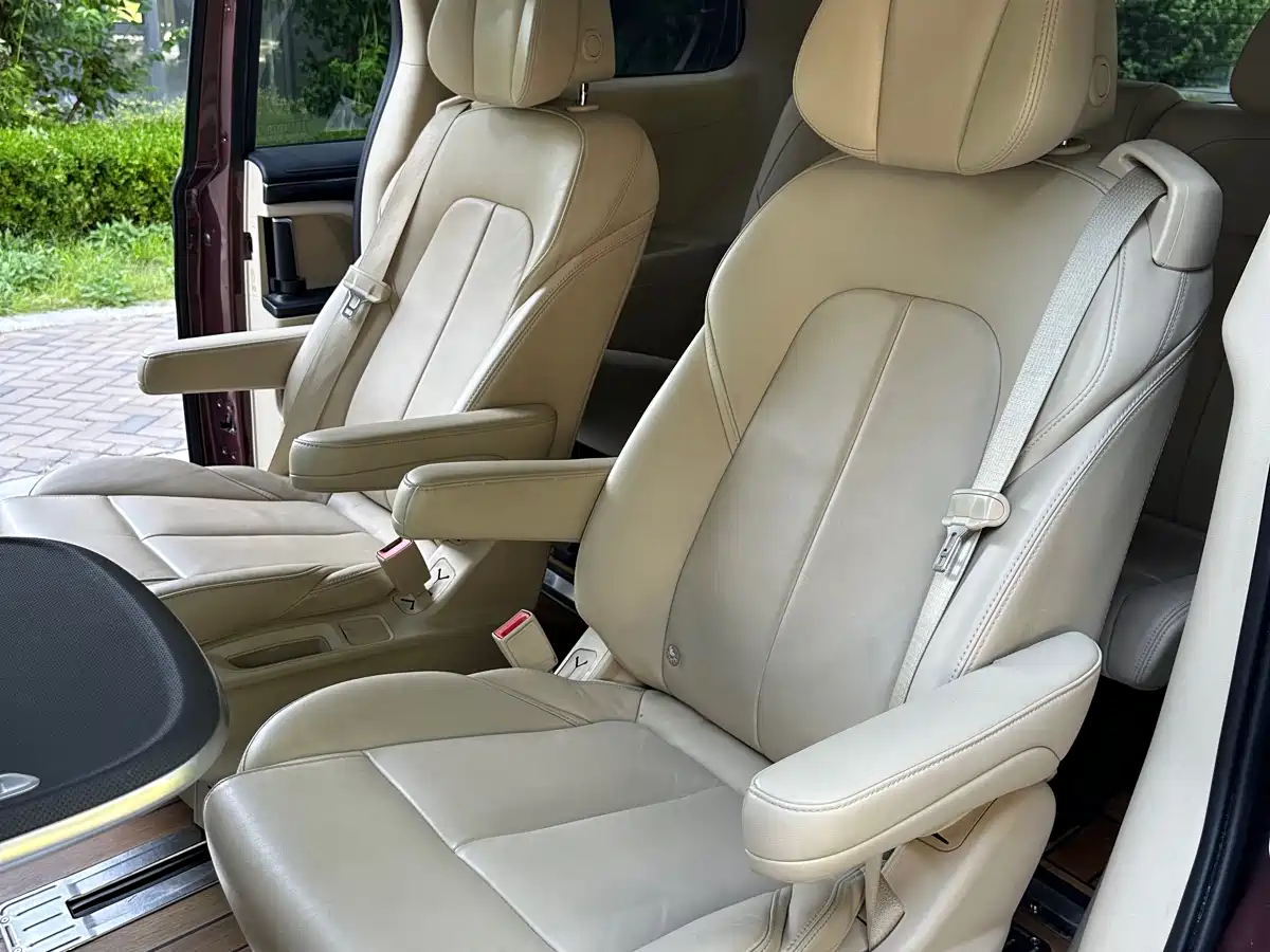Buick GL8 2022 ES Landmark 653T Premium фото 11