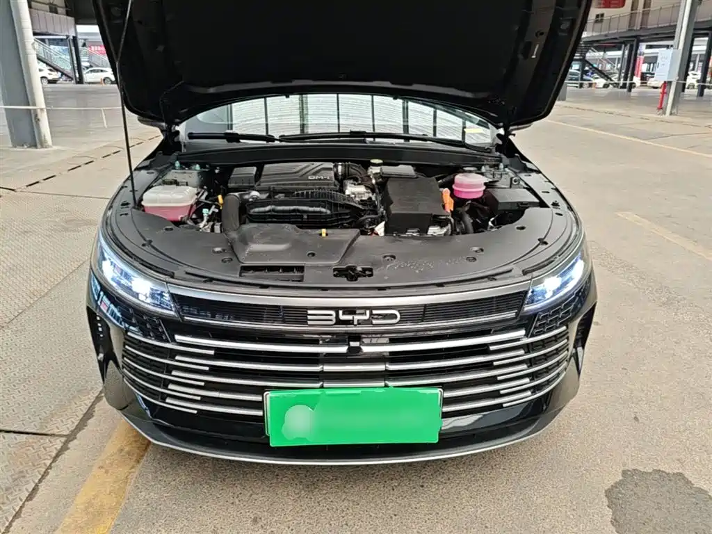 BYD Destroyer 05 2024 Glory Edition DM-i 55KM Luxury фото 20