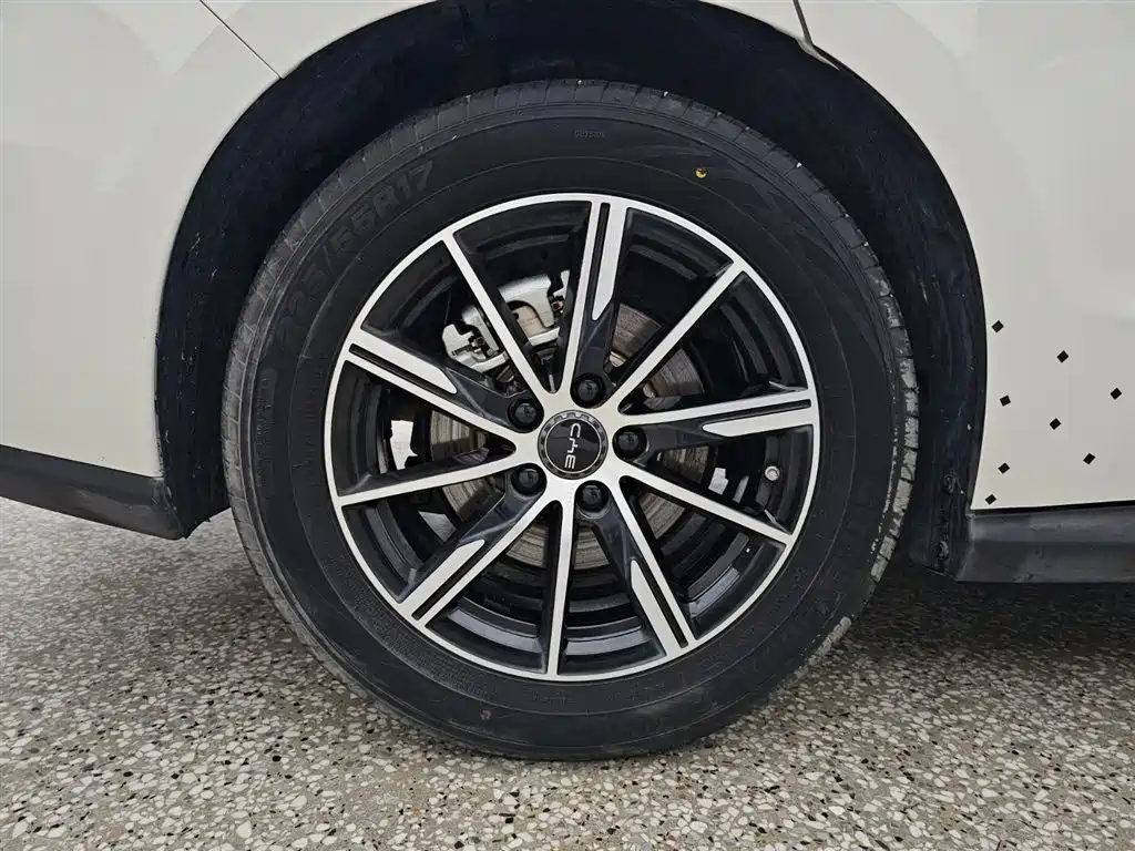 BYD Seal 06 New Energy 2024 DM-i 120KM Honor фото 15