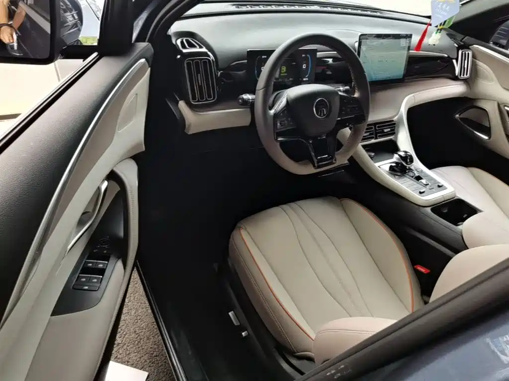 BYD Song Pro New Energy 2024 Glory Edition DM-i 71KM Leading фото 16