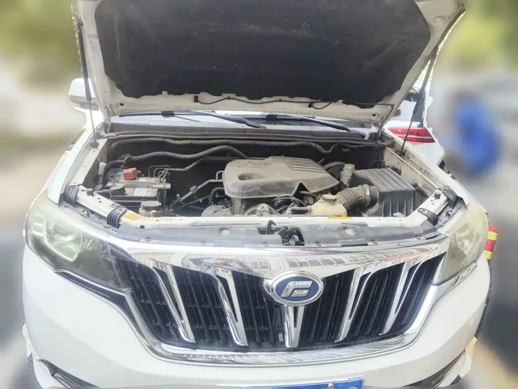 Foday Lanfu 2015 2015 2.4L Petrol 2WD Luxury 7-Seater