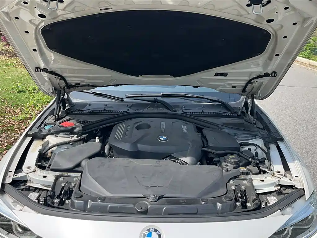 BMW 3 Series 2018 320Li Fashion Style фото 17