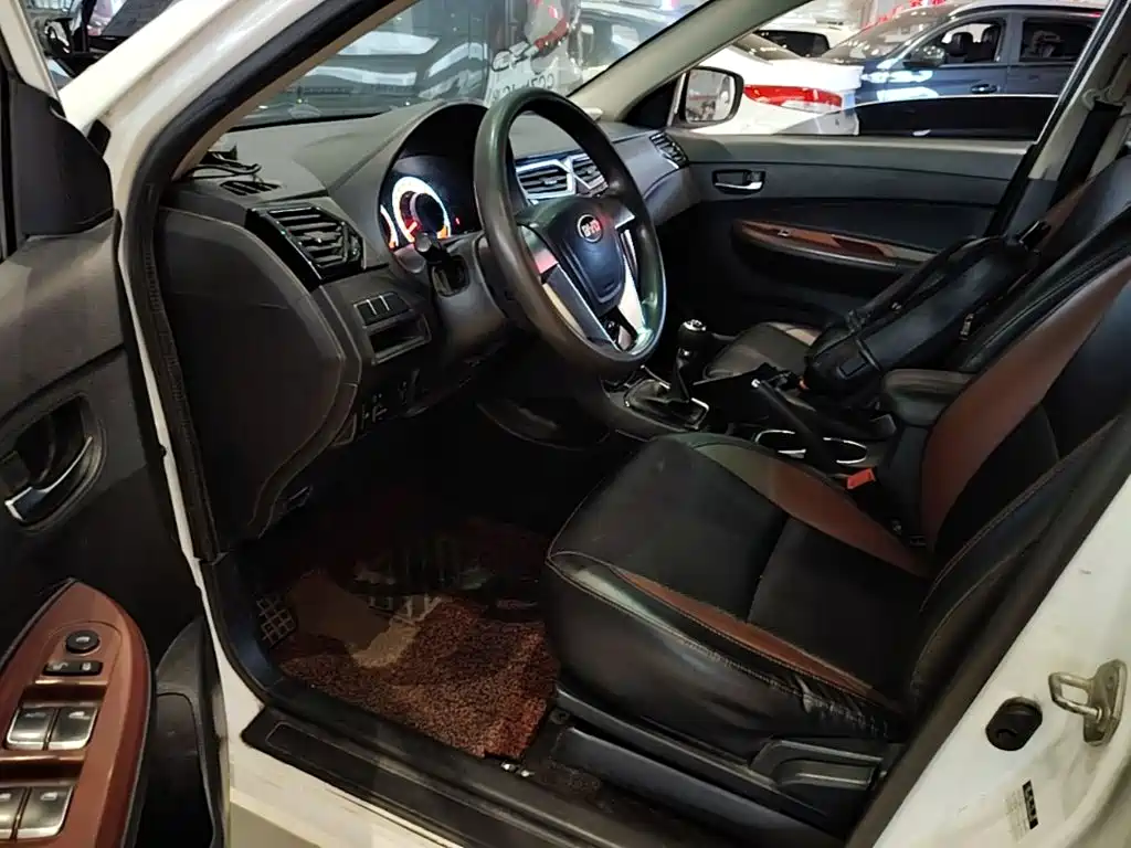 صورة 16 - BYD F3