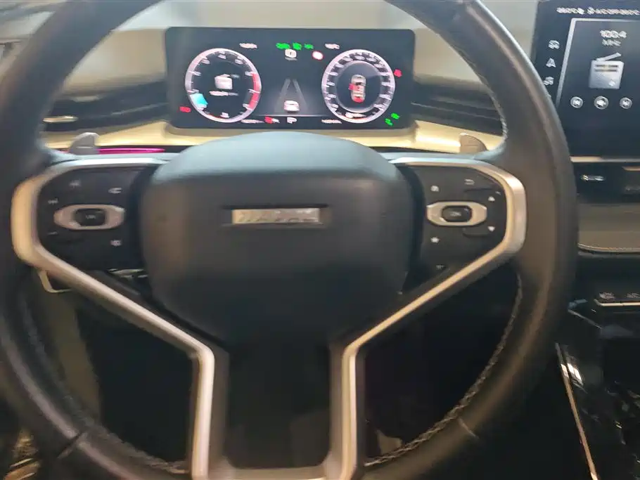 Haval H6 2022 3rd Gen 1.5T Auto 2WD Pro фото 15