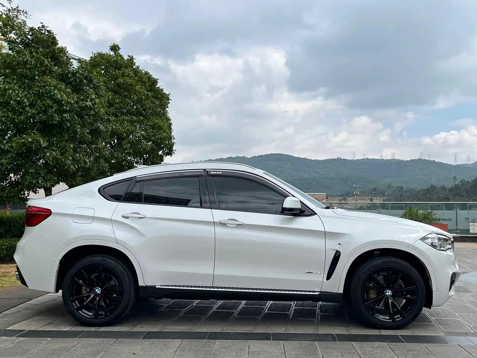Photo 23 - BMW X6