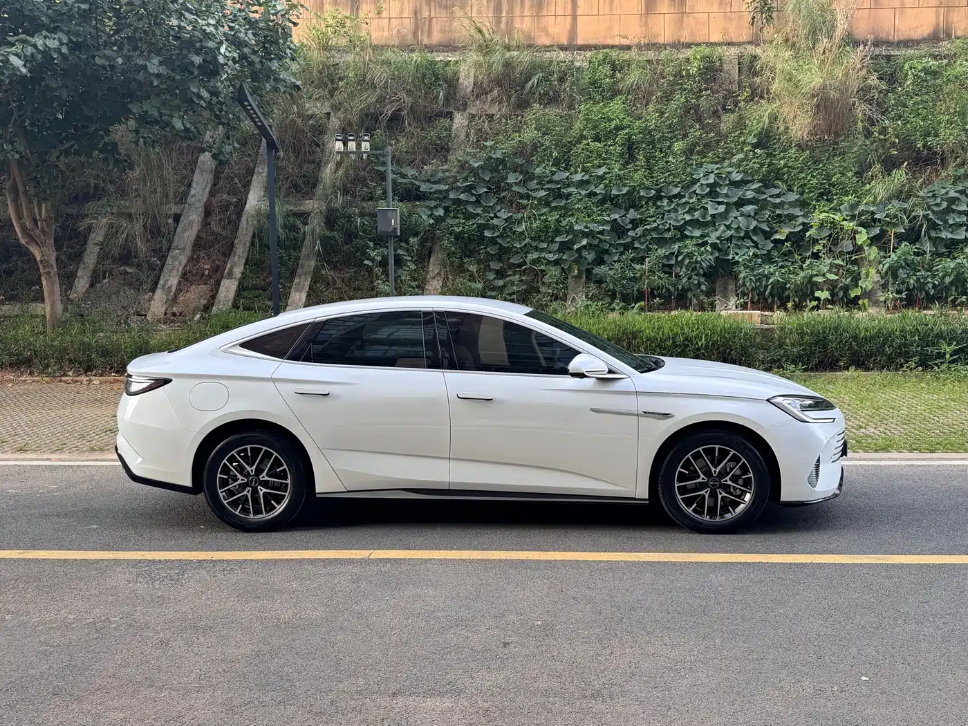 BYD Seal 2024 Glory Edition DM-i 1.5L 121km Elite фото 4