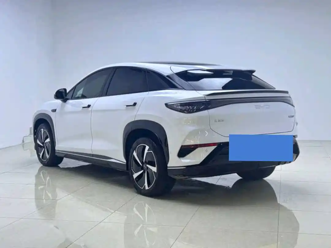 BYD Sealion 07 EV 2024 610 Long Range Edition фото 4