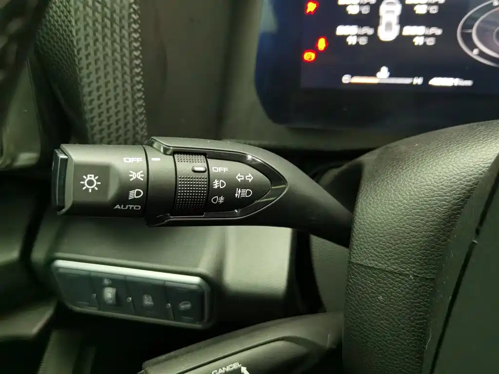Haval Big Dog 2021 1.5T DCT 2WD Labrador Edition фото 21