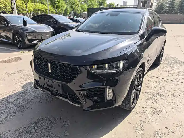 WEI PAI WEI BRAND VV5