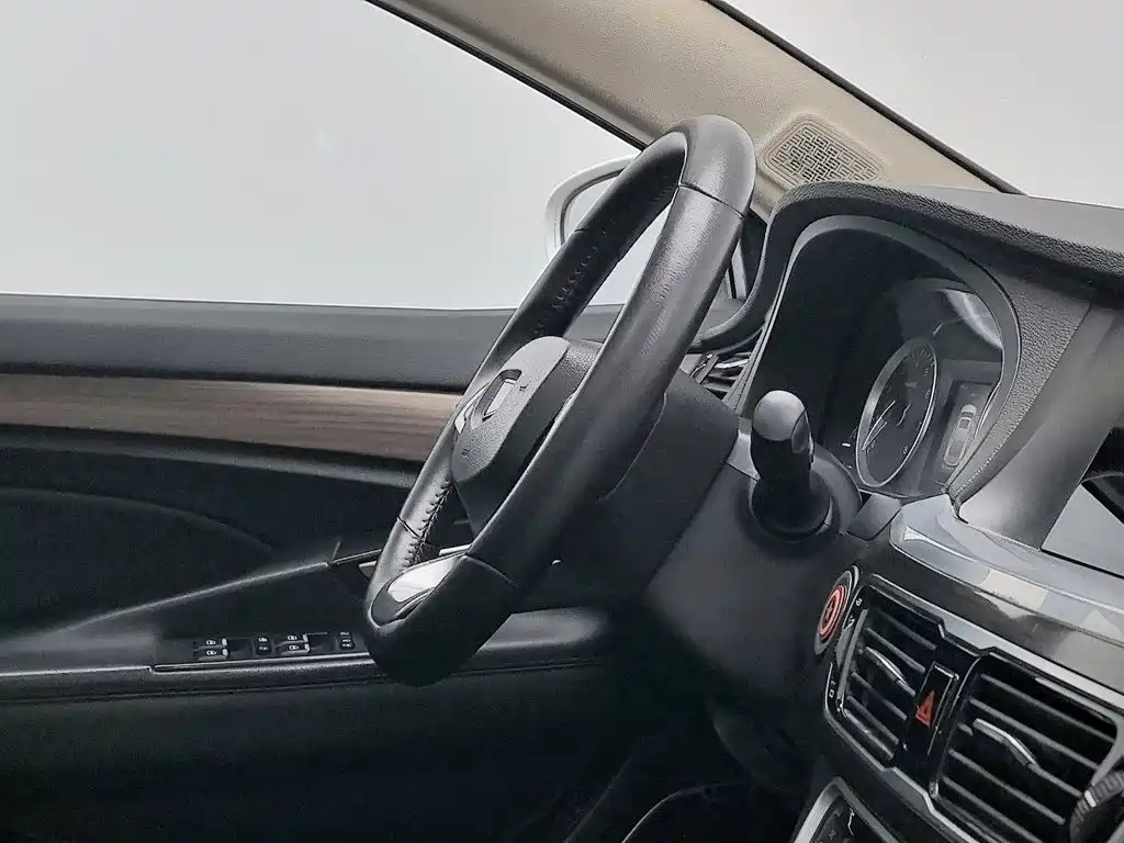 Фото 22 - Geely Borui