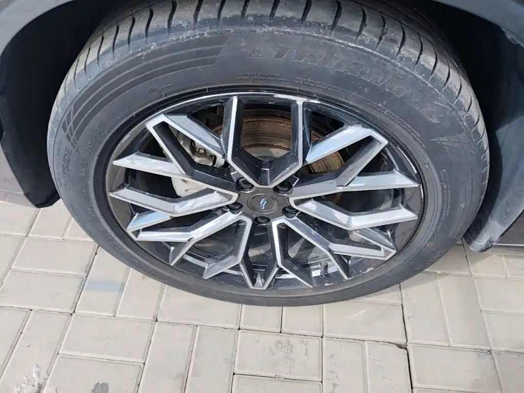 Changan Oshan Z6 2023 2022 Blue Whale 1.5T DCT Intelligent Leader