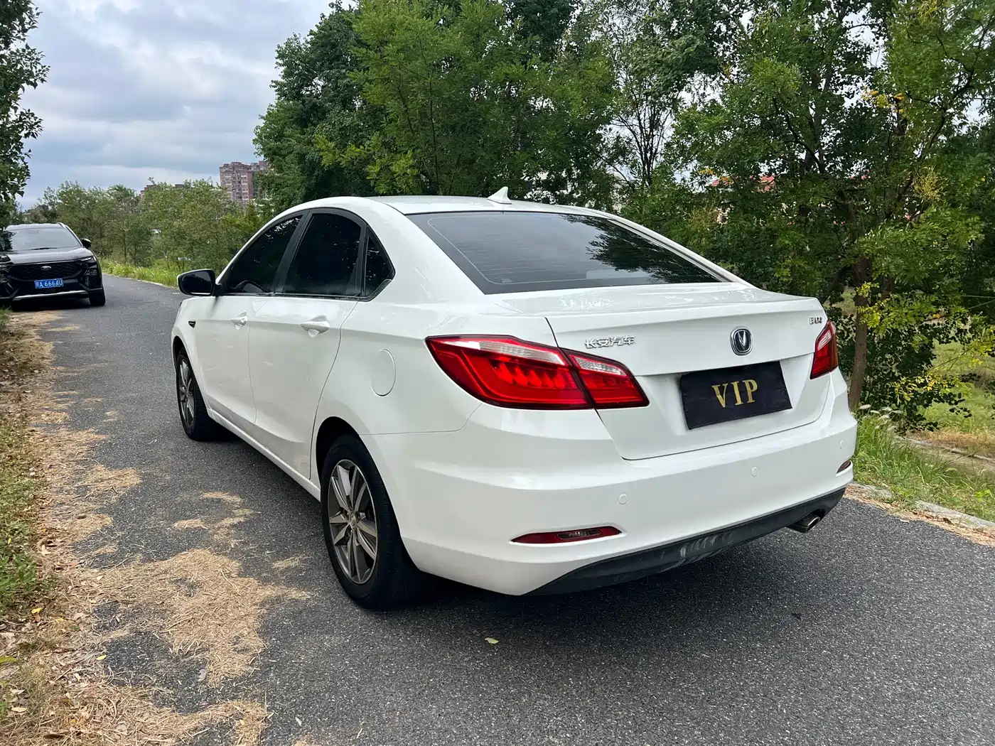 Фото 7 - Changan Eado