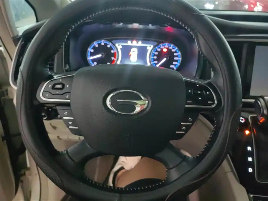 GAC Trumpchi Trumpchi M8 2018 320T Exclusive Edition фото 15