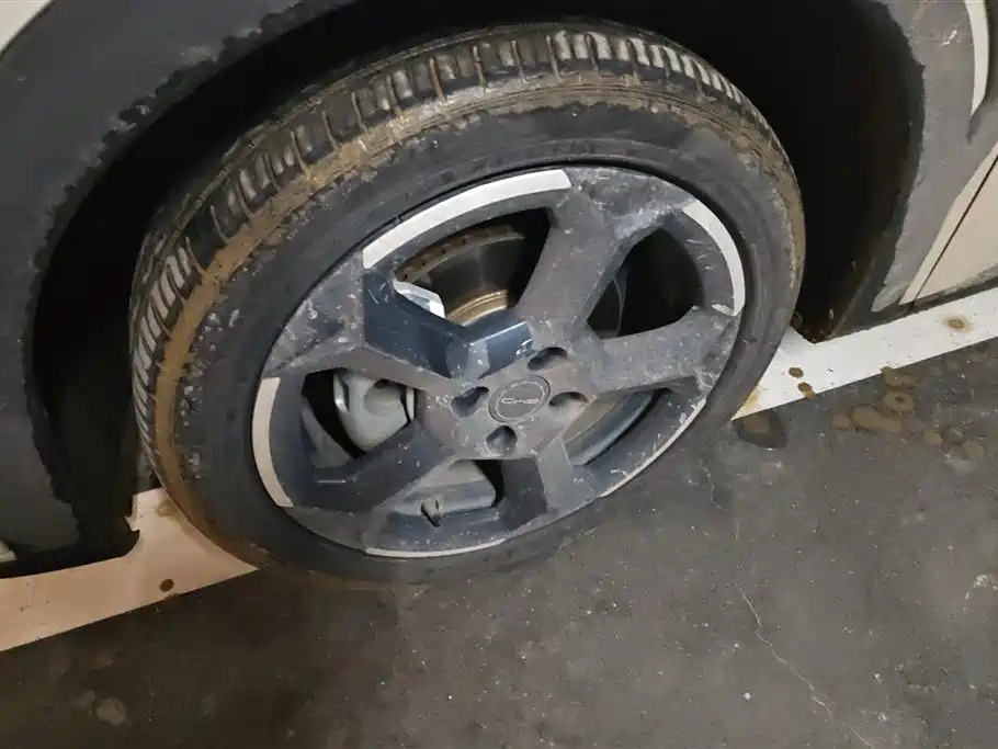 BYD Seagull 2024 Glory Edition 305km Freedom Edition фото 6