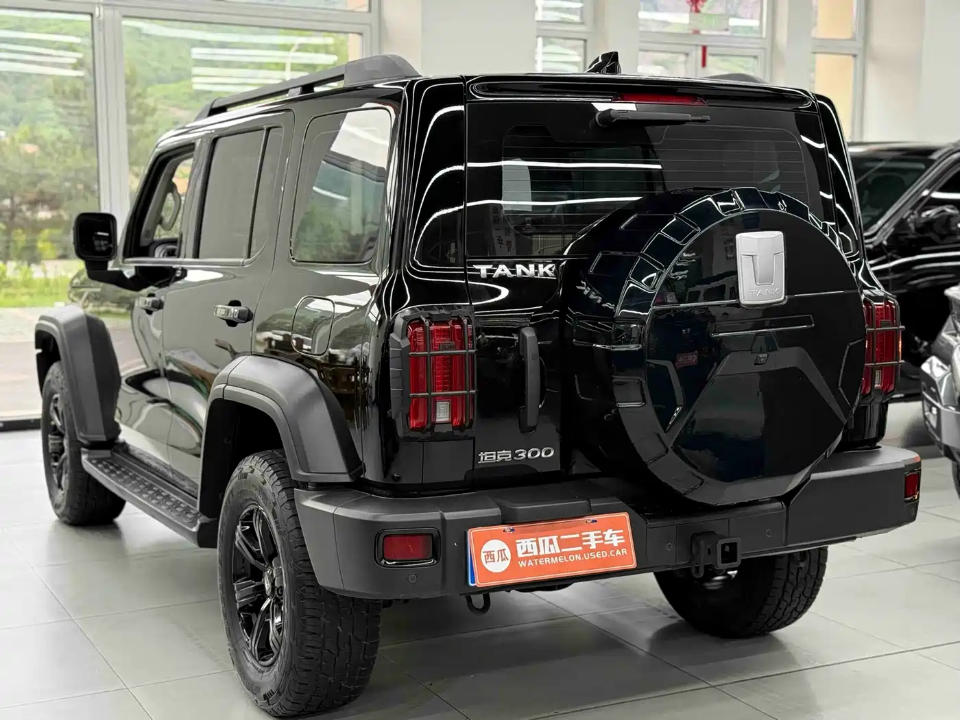 Tank 300 2023 Off-Road Edition 2.0T Conqueror фото 11