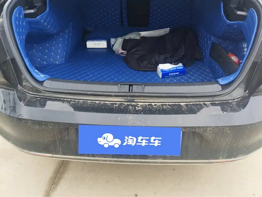 Volkswagen Magotan 2020 330TSI DSG Leading фото 4