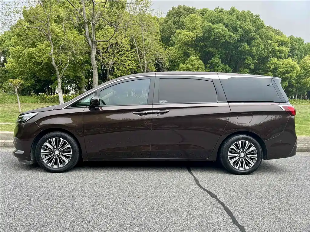 Buick GL8 2021 ES Landlord 653T Premium фото 7