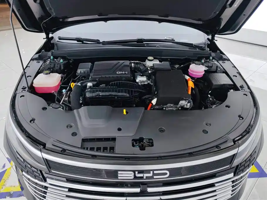 BYD Destroyer 05 2024 Glory Edition DM-i 120KM Luxury фото 10