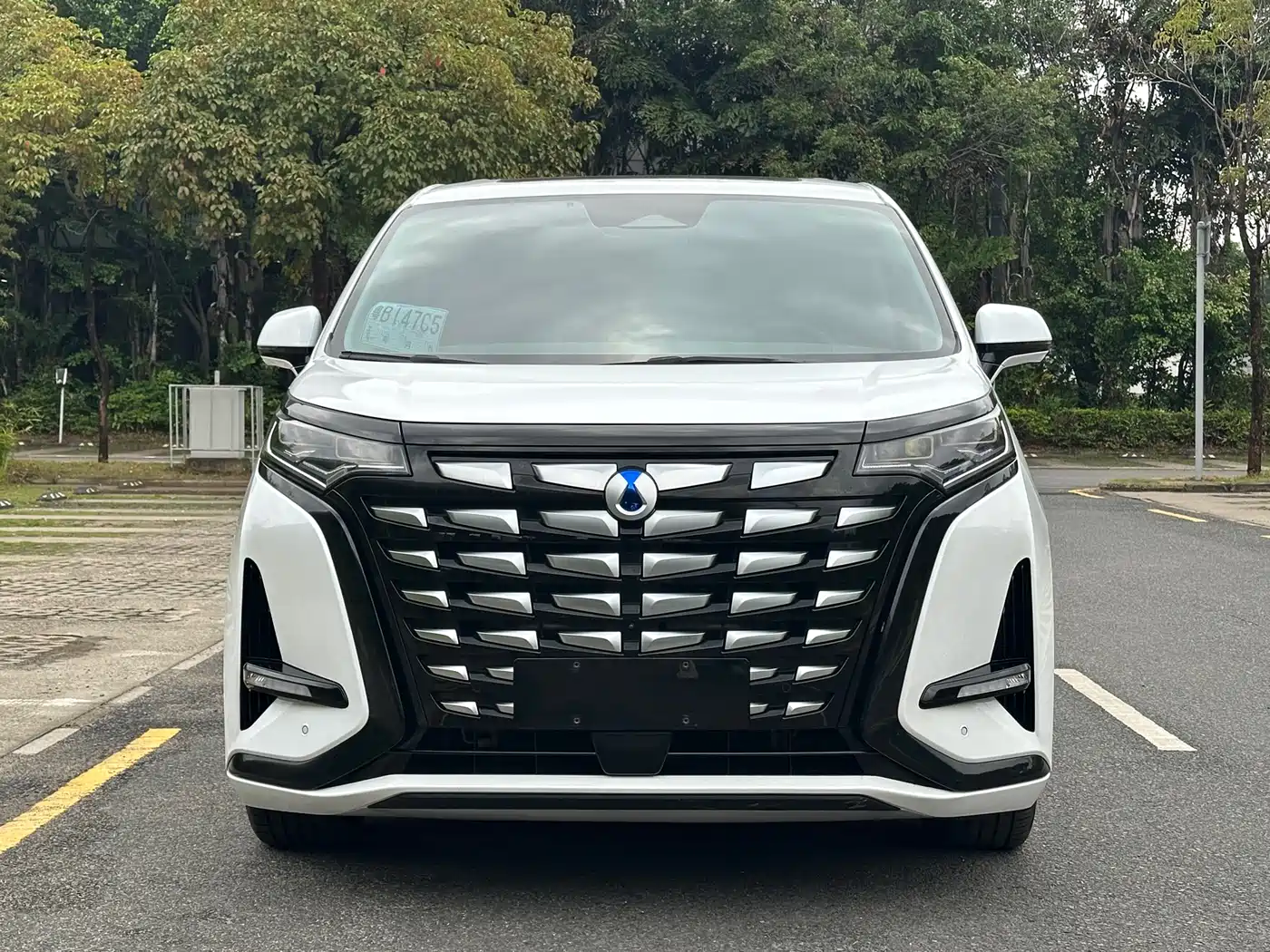 Denza D9 2022 DM-i 970 All-Wheel Drive Honor Edition фото 2